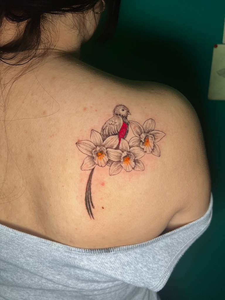 Fine line daffodils and small bird tattoo on shoulder blade by Alison at Inked City Tattoos in Trenton, NJ