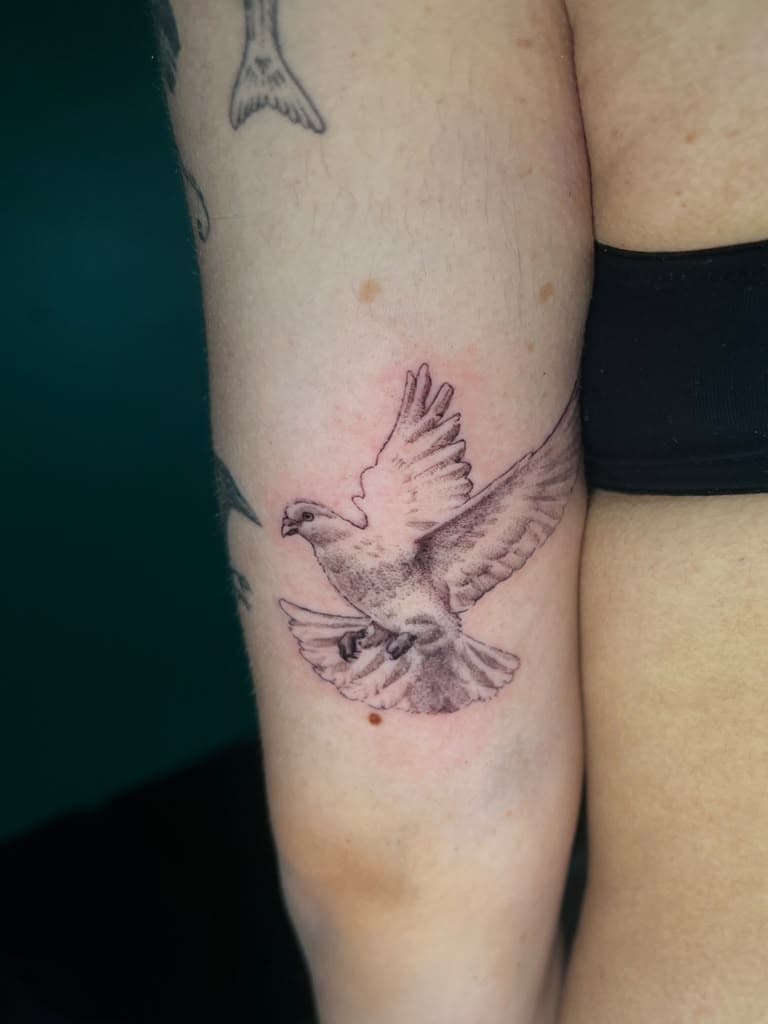 Fine line dove tattoo on the back of the arm by Alison at Inked City Tattoos in Trenton, NJ